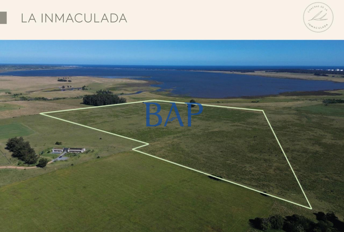 Chacra ID.144 - Chacras - Jose Ignacio 