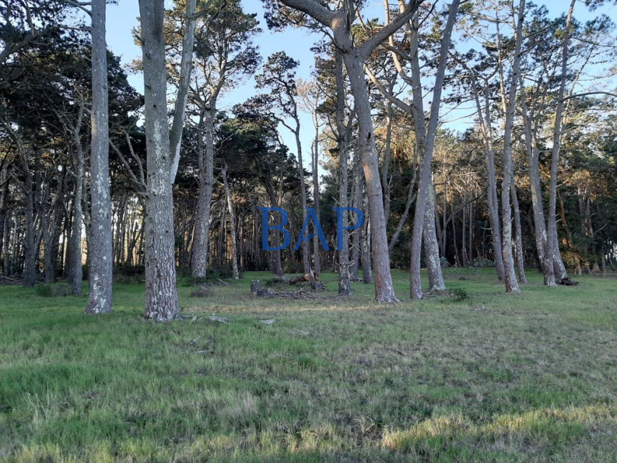 Chacra ID.65 - Venta - 3 dorm. - Chacra Jose Ignacio