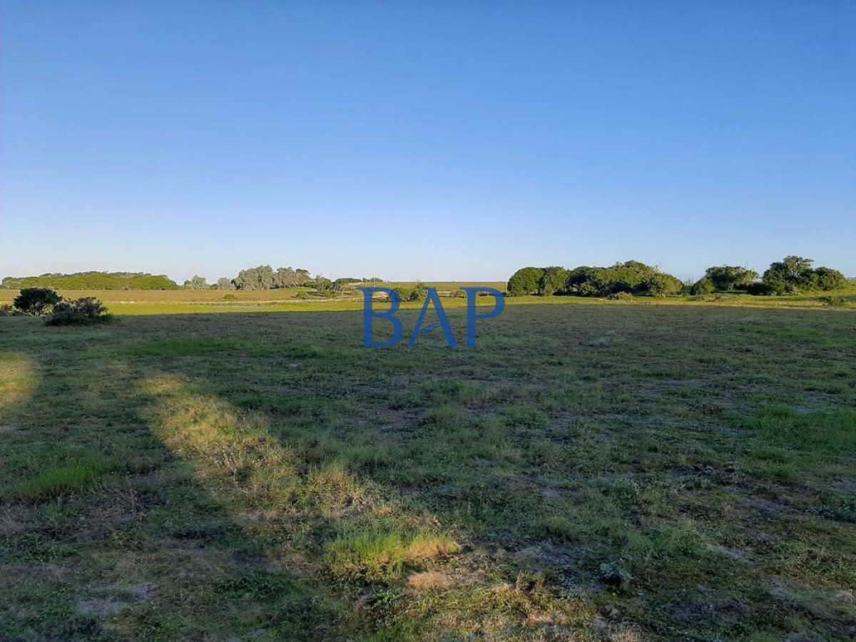 Chacra ID.65 - Venta - 3 dorm. - Chacra Jose Ignacio