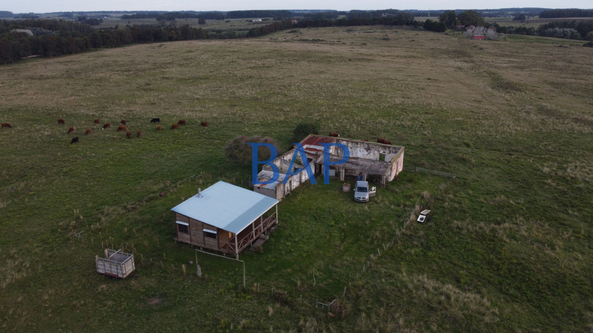 Campo Ref.131 - Campo 100 ha Turístico - Ganadero 