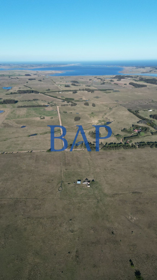 Campo Ref.131 - Campo 100 ha Turístico - Ganadero 