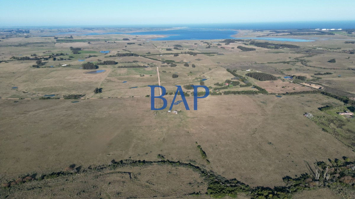 Campo Ref.131 - Campo 100 ha Turístico - Ganadero 
