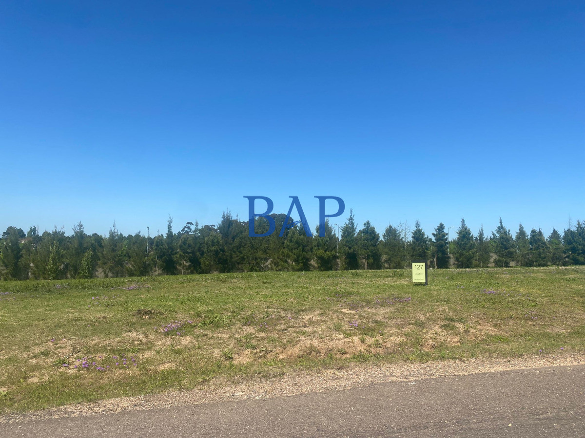 Terreno ID.171 - Venta - Terreno - Olivo de los Hornenos