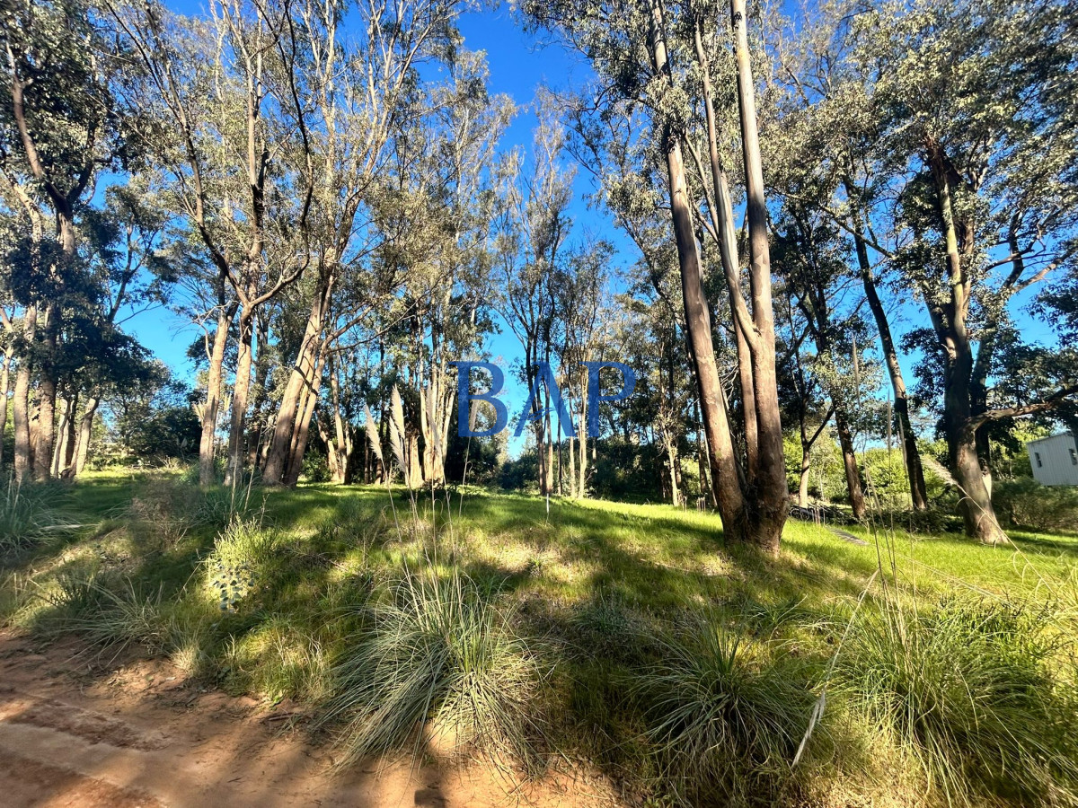 Terreno ID.18 - Terreno Barra Verde