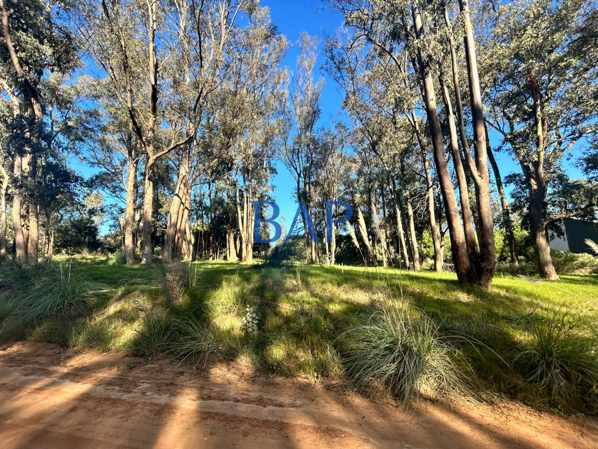 Terreno ID.18 - Terreno Barra Verde