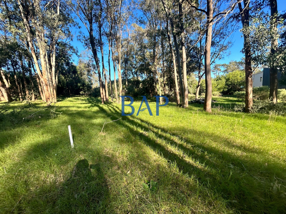 Terreno ID.18 - Terreno Barra Verde