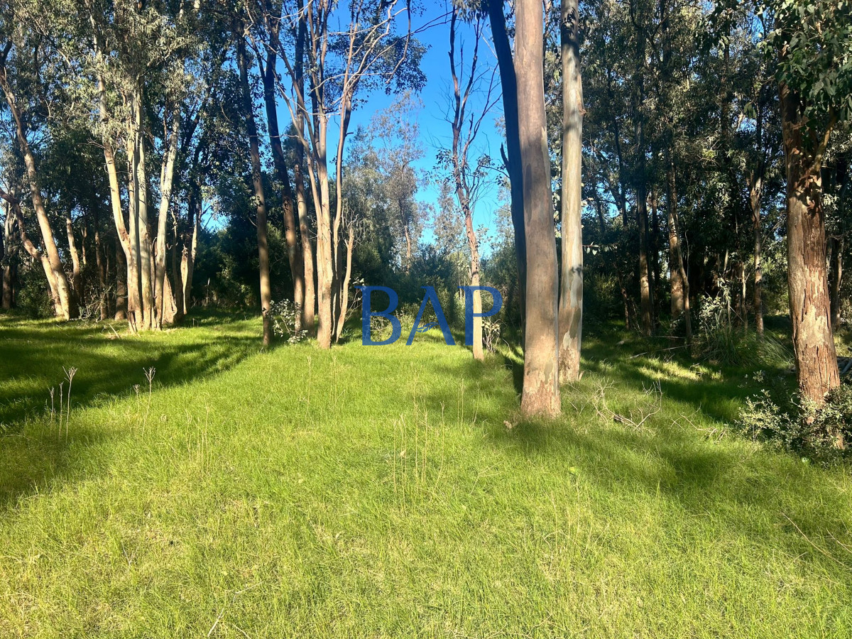 Terreno ID.18 - Terreno Barra Verde