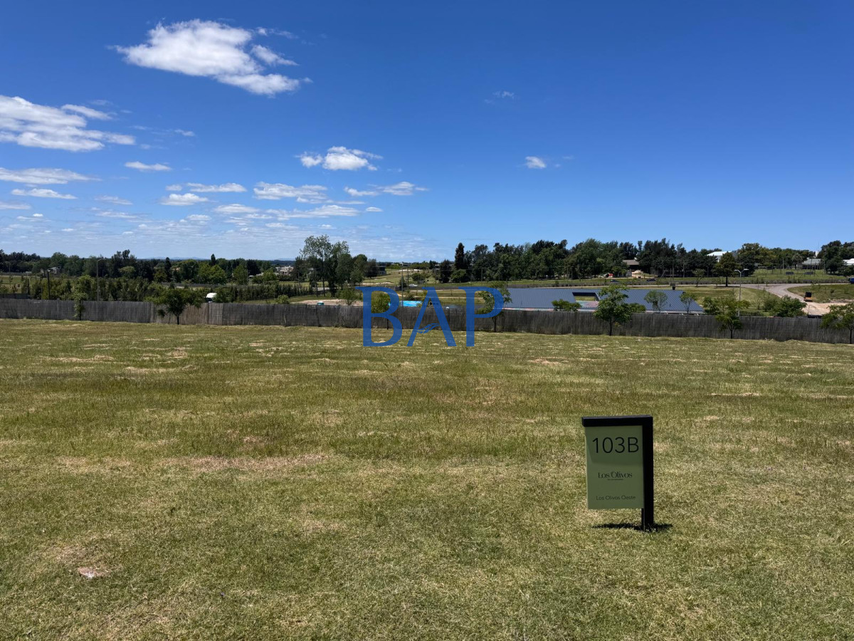 Terreno ID.179 - Terreno Olivos de los Horneros