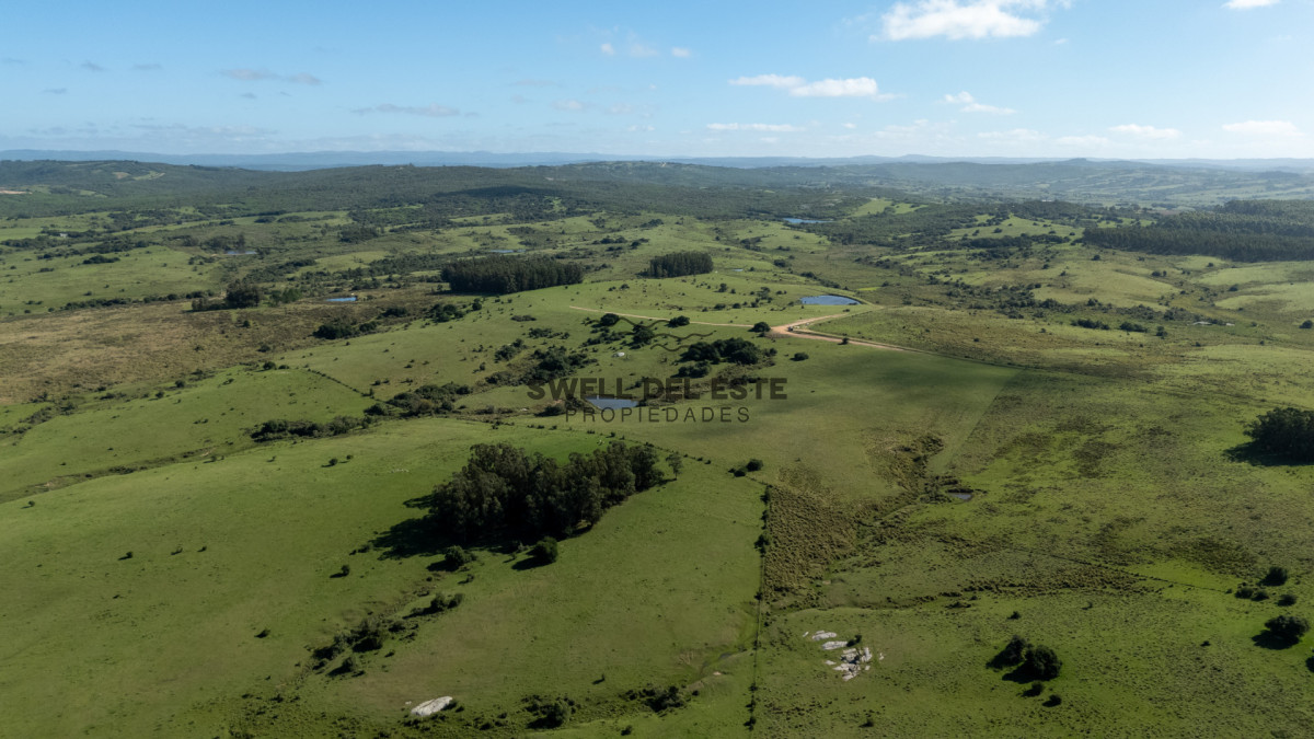 Chacra ID.350 - Venta Chacra Pueblo Garzon 21ha