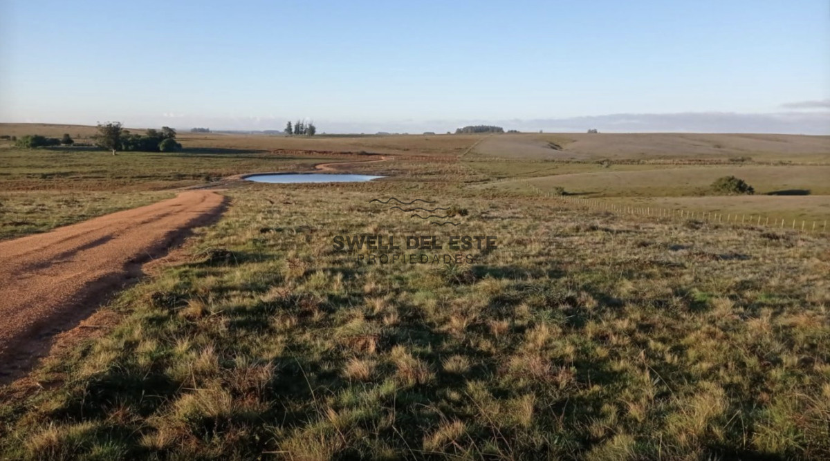 Chacra ID.28 - Chacra de 6ha en Garzón