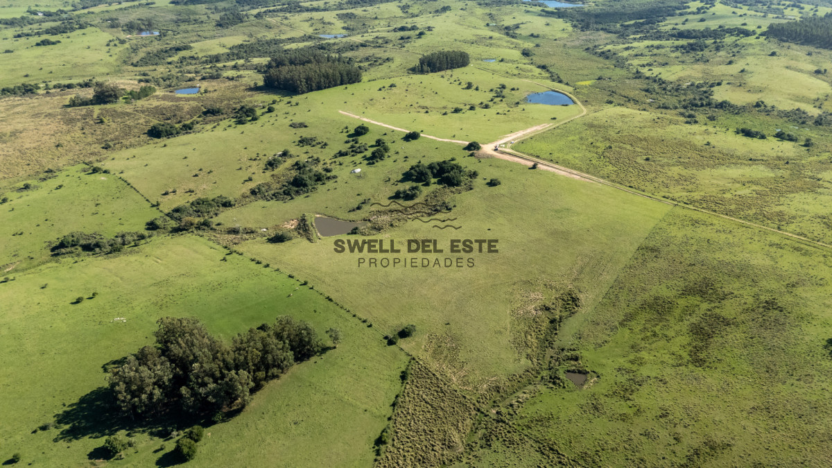 Chacra ID.350 - Venta Chacra Pueblo Garzon 21ha