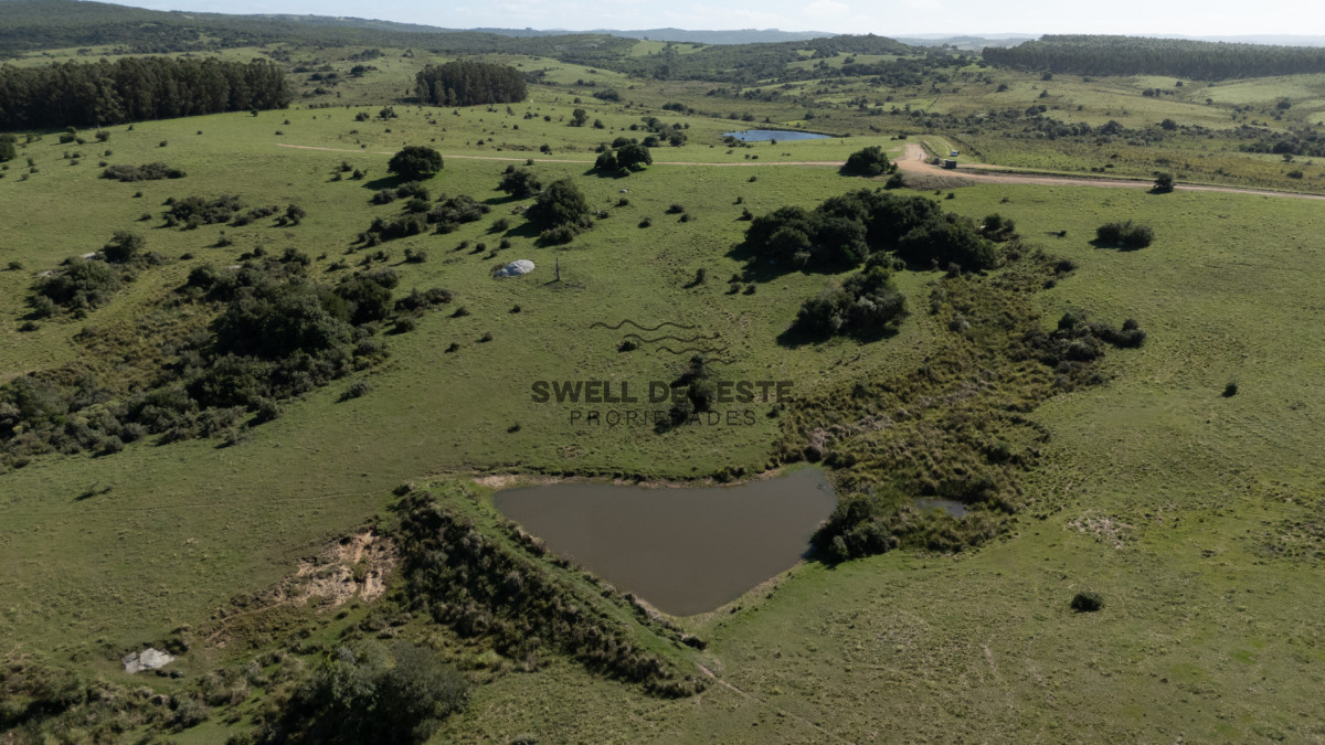 Chacra ID.350 - Venta Chacra Pueblo Garzon 21ha