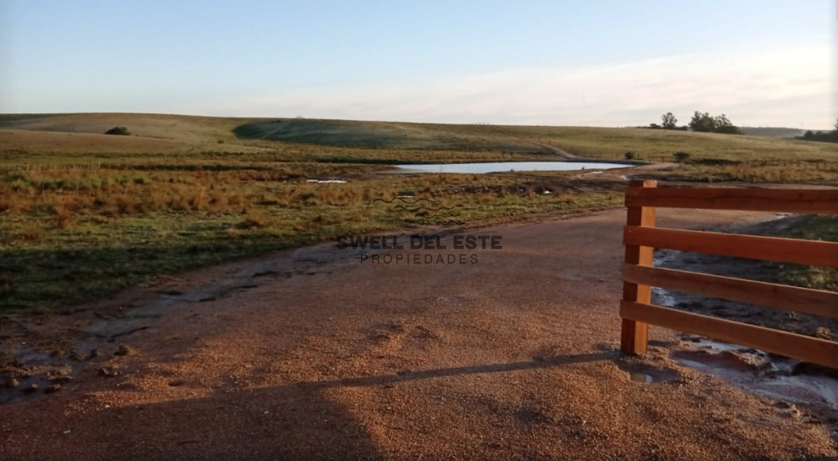 Chacra ID.28 - Chacra de 6ha en Garzón