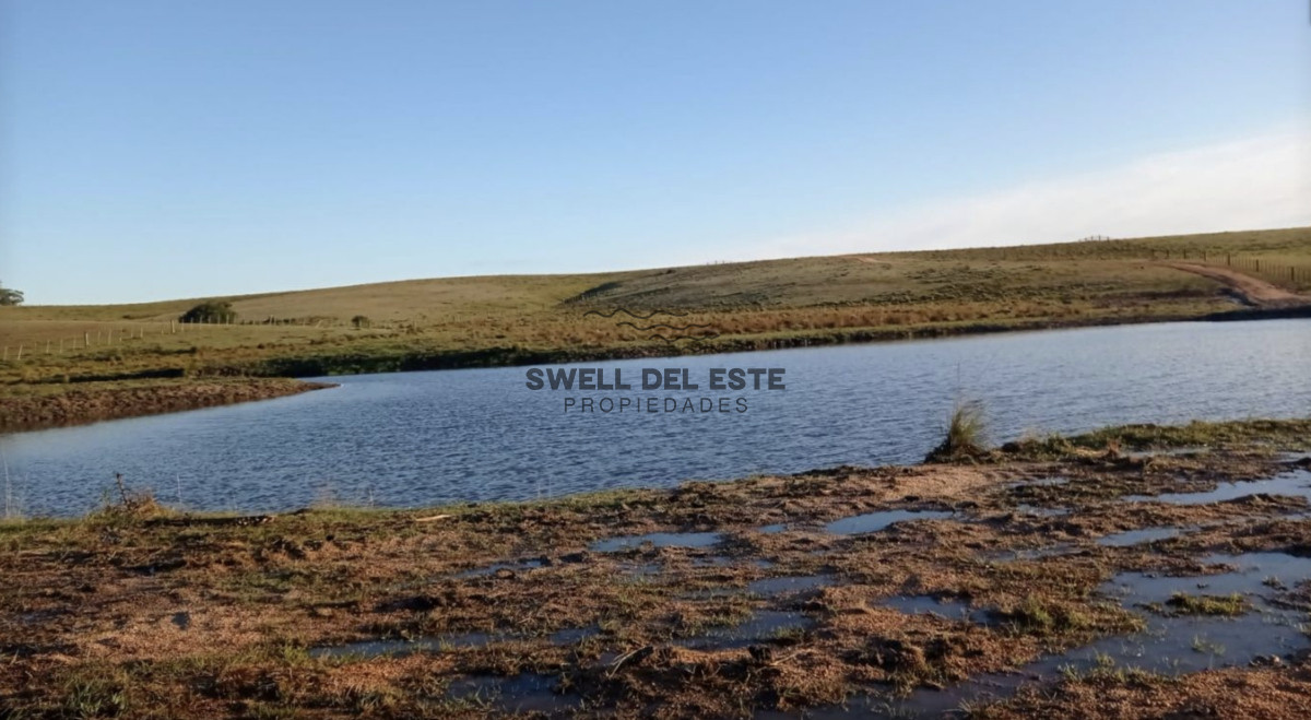 Chacra ID.28 - Chacra de 6ha en Garzón