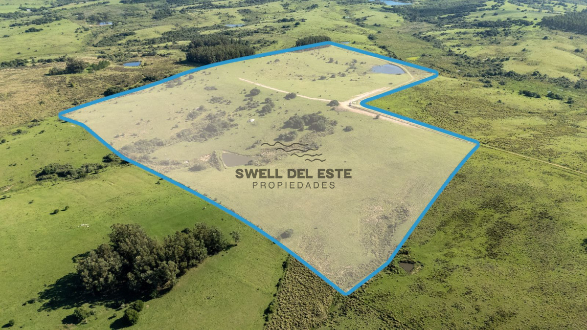 Chacra ID.350 - Venta Chacra Pueblo Garzon 21ha