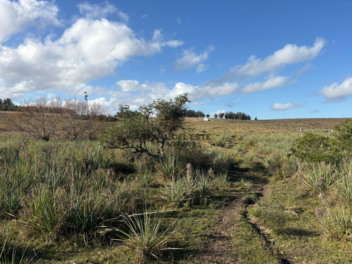 Chacra ID.32 - 