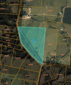 Chacra 14.5 Ha en Punta Ballena
