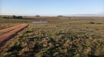 Chacra de 6ha en Garzón