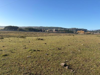 Chacra de 15,6HA en Camino de los Barrancos enfrente a El Quijote