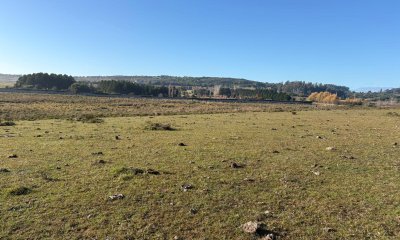 Chacra de 15,6HAS en Camino de los Barrancos enfrente a El Quijote