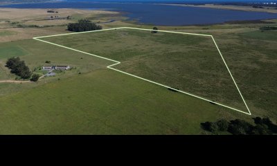 Chacras de 4has sobre la Laguna de José Ignacio
