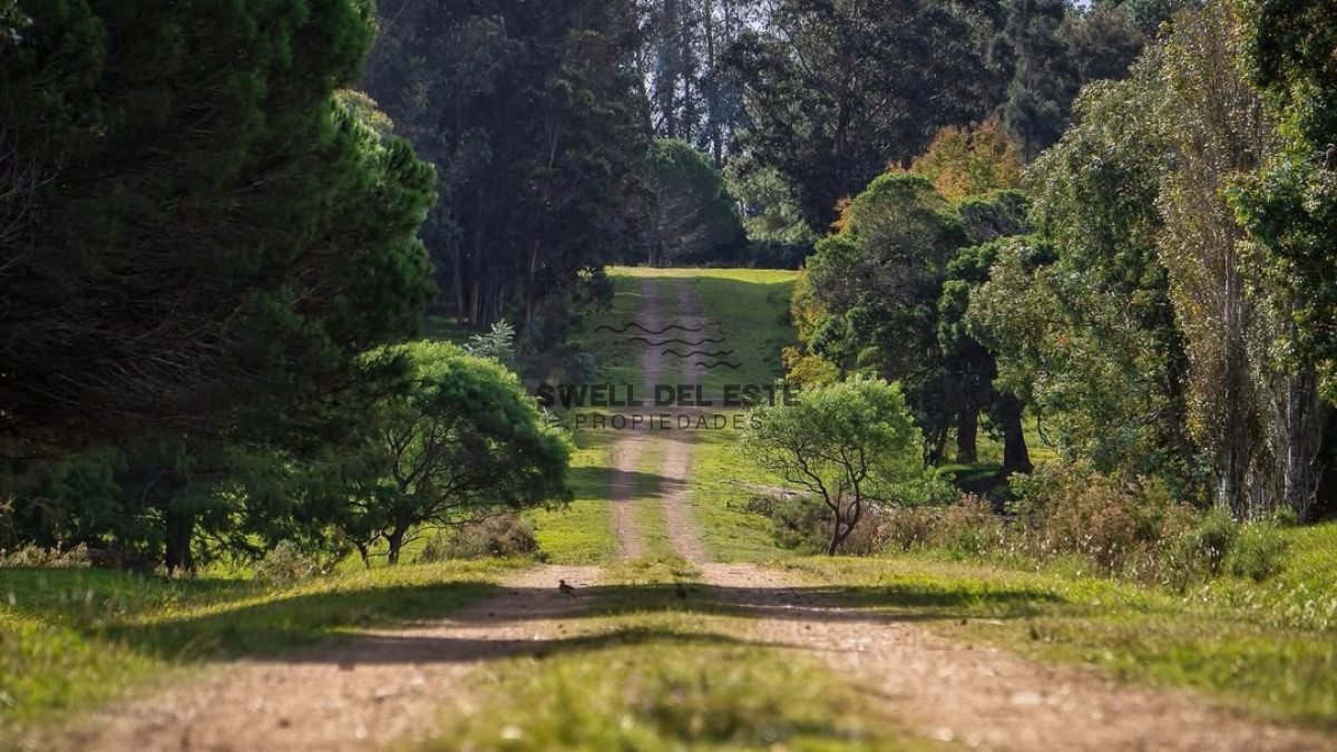 Terreno ID.290 - Terreno Don Miguel R8