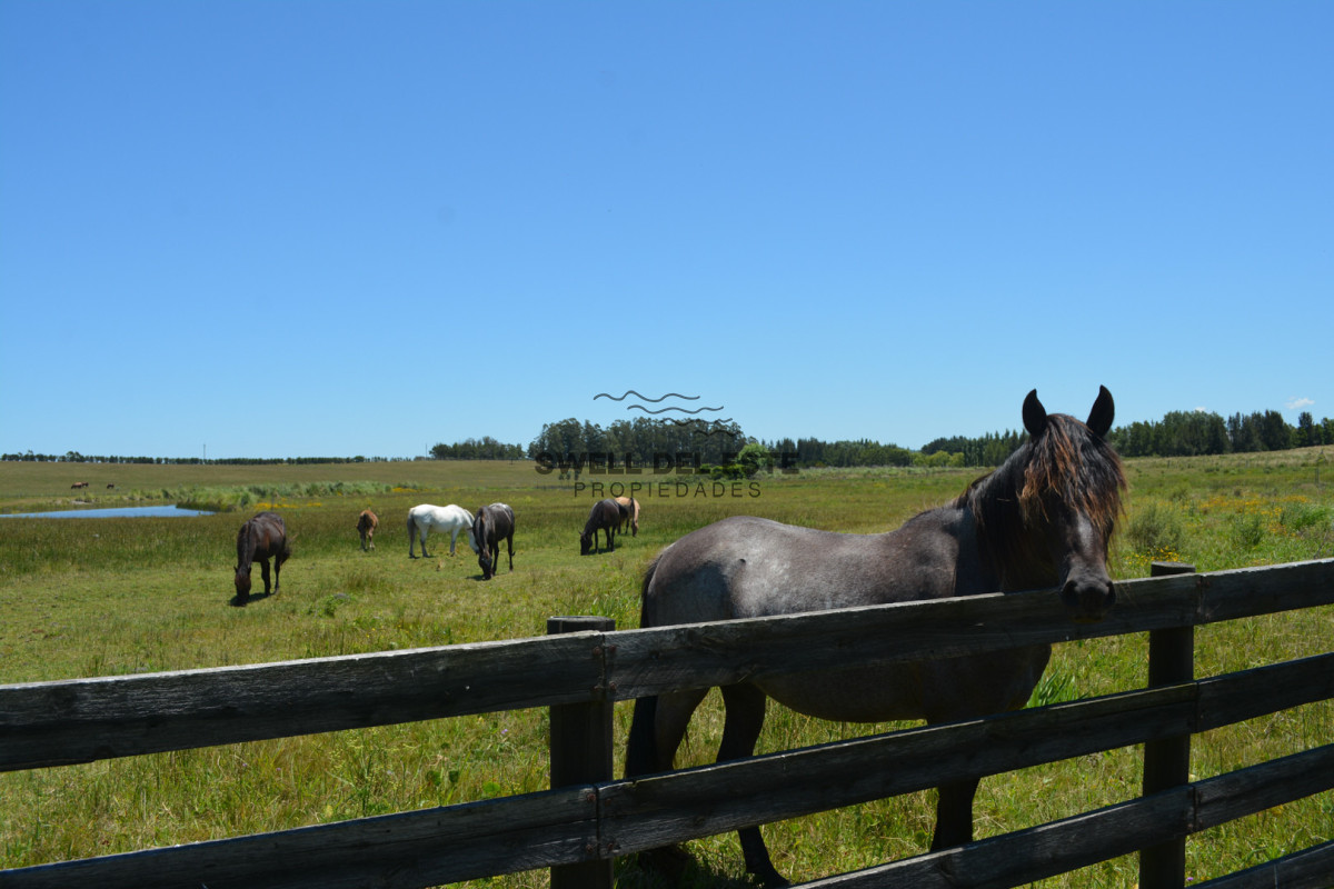 Terreno ID.187 - Terreno de 4.000m2 en Pueblo Mío La Barra