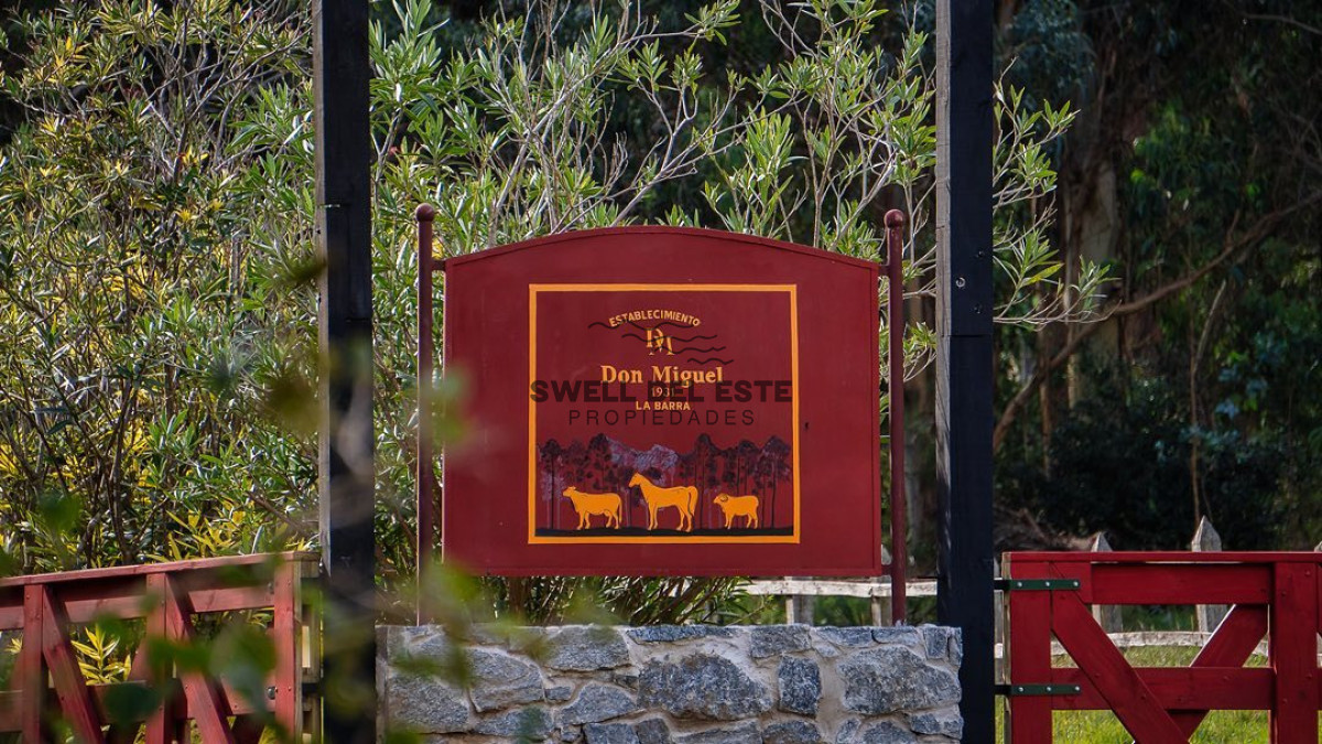 Terreno ID.291 - Terreno Don Miguel I3