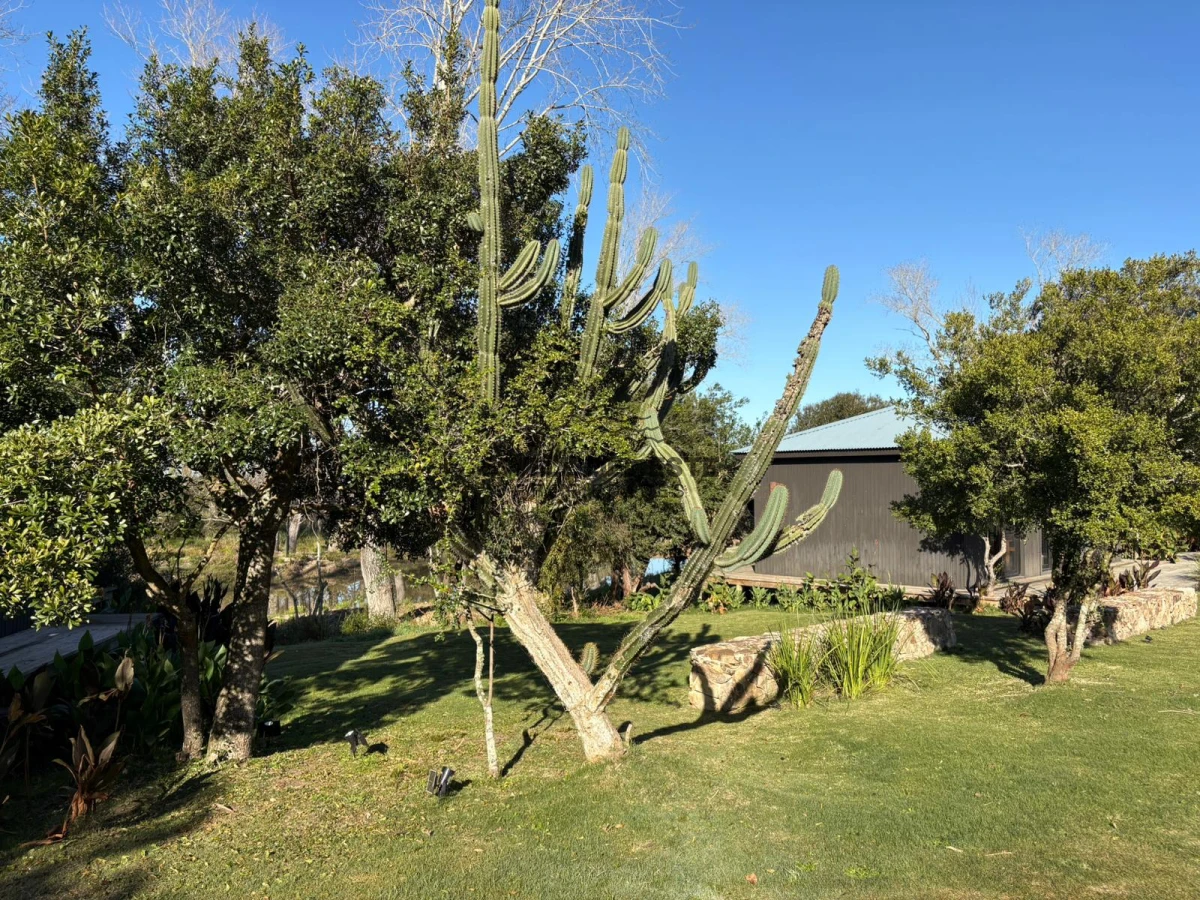 Terreno ID.3 - Terrenos en barrio privado Puerto Quetzal 4000m2 desde $150.000