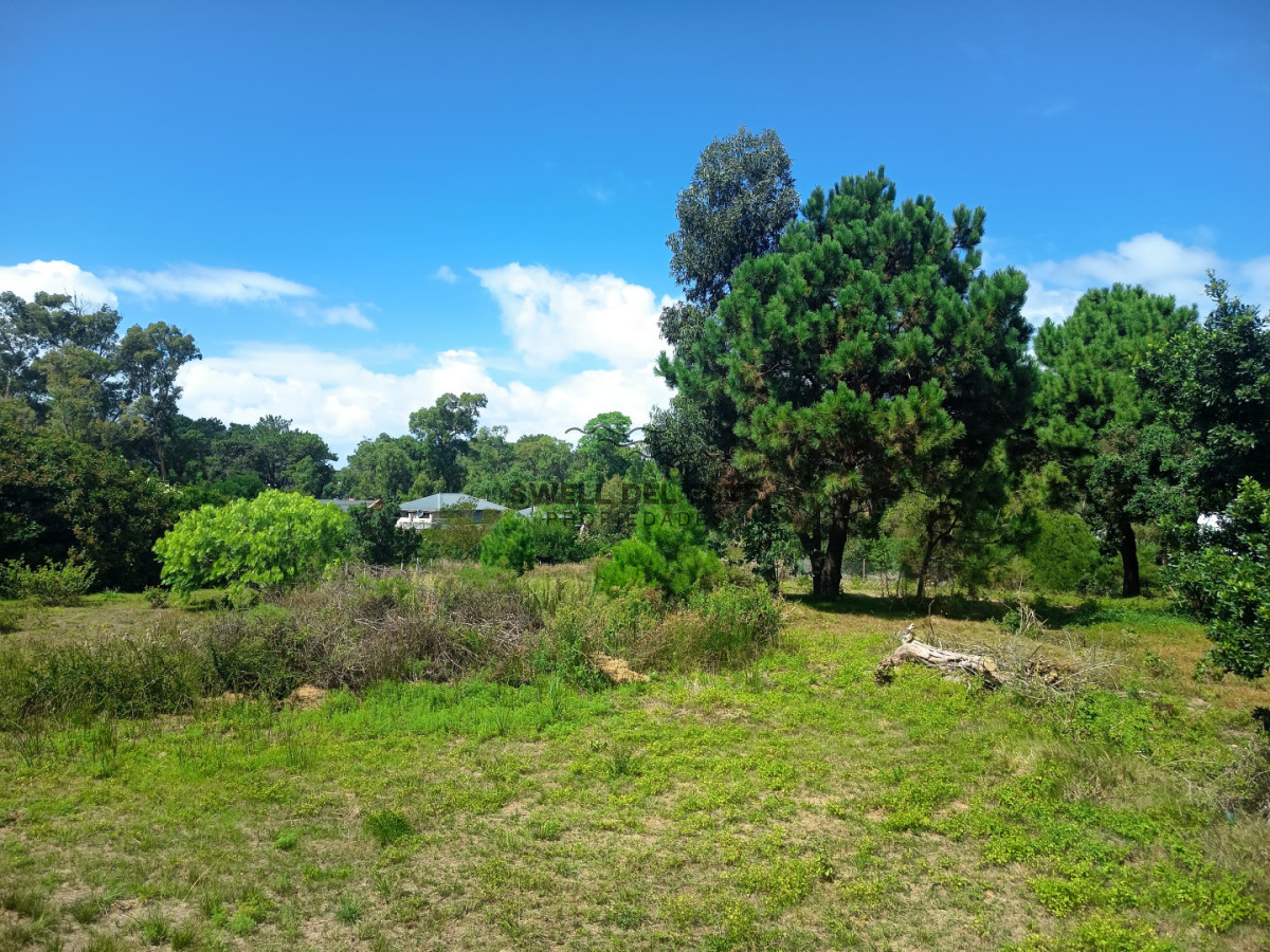 Terreno ID.297 - Terreno La Barra (Zona Club de la Barra)