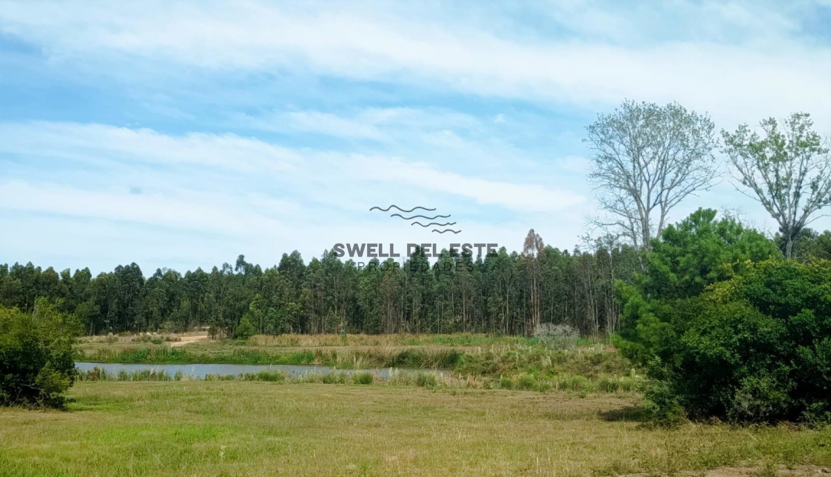 Terreno ID.303 - Terreno Lote 9 Puerto Quetzal - Vista Laguna