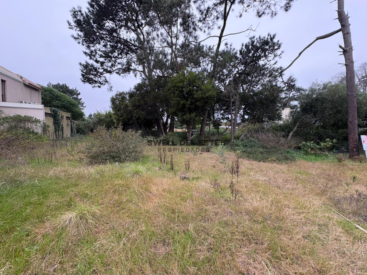 Terreno ID.123 - Terreno en Avenida Córdoba de 1360m2 apto para desarrollo