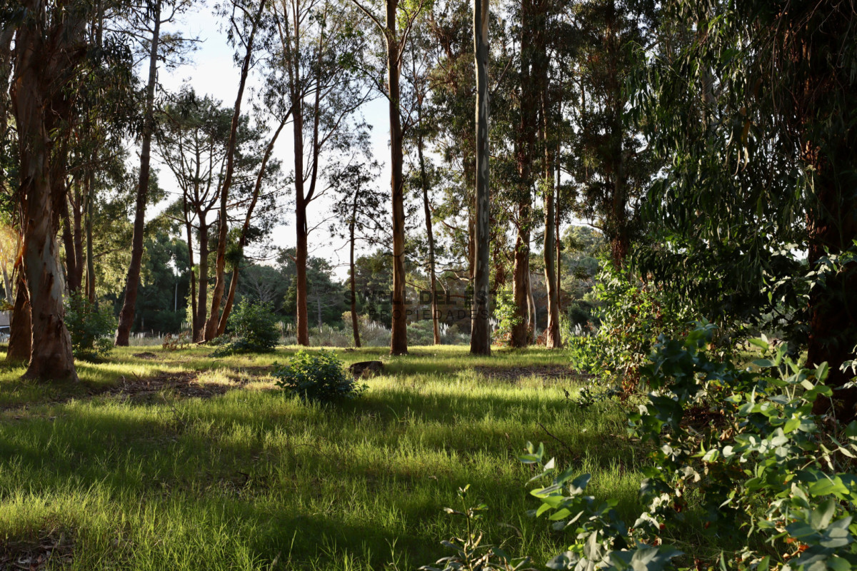 Terreno ID.379 - Venta lotes Reserva Montoya
