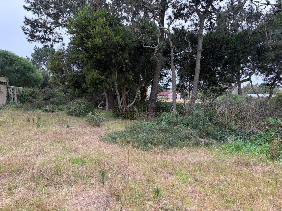 Terreno ID.123 - Terreno en Avenida Córdoba de 1360m2 apto para desarrollo