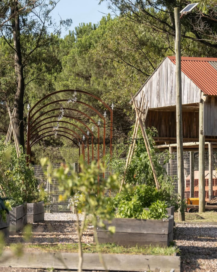 Terreno ID.290 - Terreno Don Miguel R8