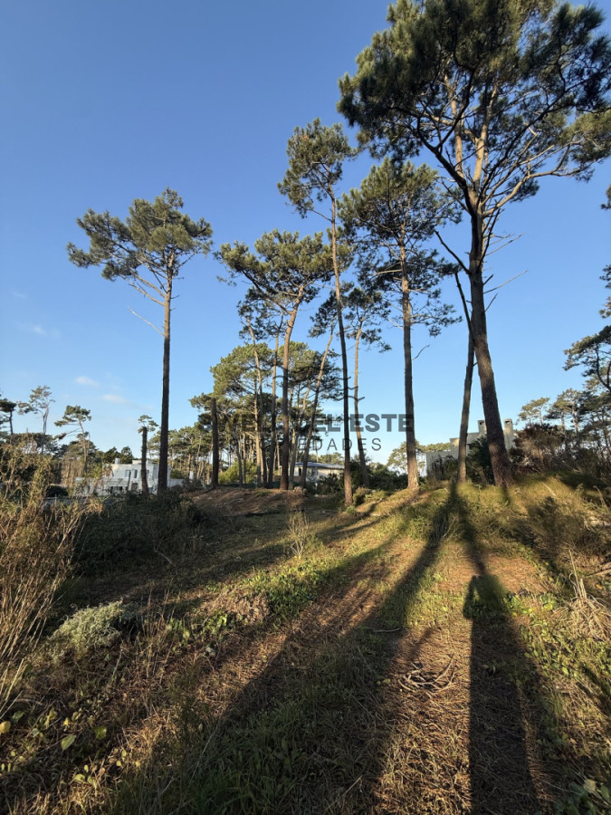 Terreno ID.368 - Excelente terreno en Laguna Blanca en Venta