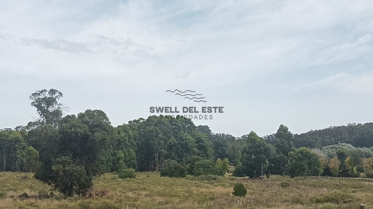 Terreno ID.305 - Terreno Lote 19 Puerto Quetzal - Vistas al Bosque