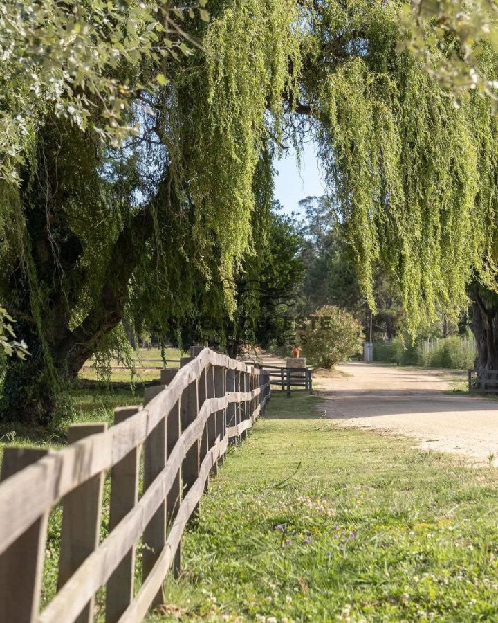 Terreno ID.290 - Terreno Don Miguel R8