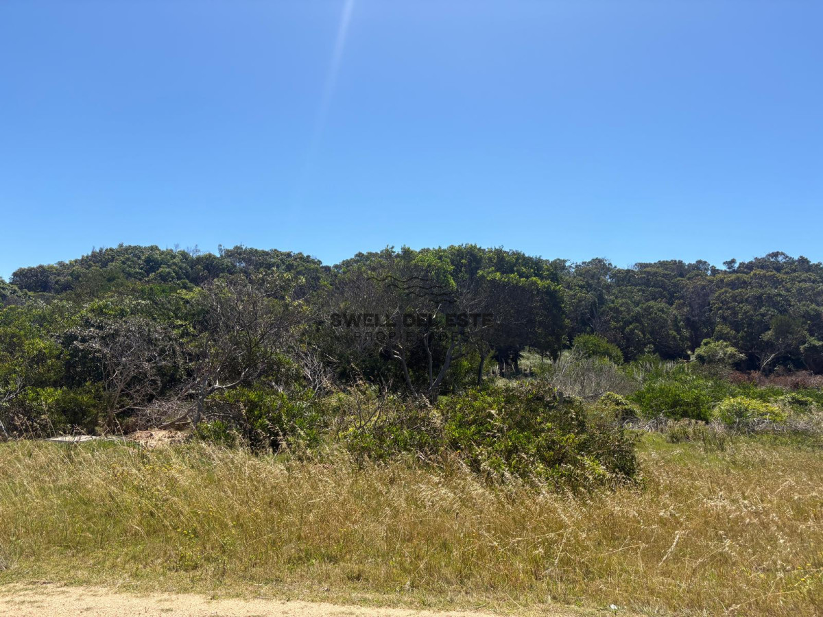 Terreno ID.225 - Terrreno en Santa Mónica/La Boyita a 70 metros del mar