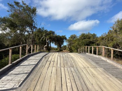 Lotes en Venta Nativo José Ignacio