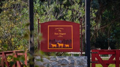 Terreno Don Miguel T13