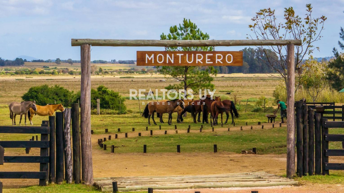 Casa ID.430 - Exclusiva casa de 3 dormitorios en El Quijote