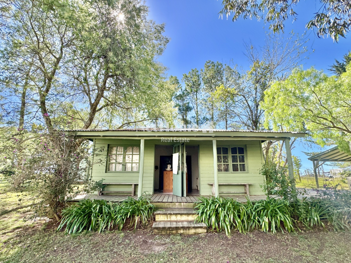 Chacra ID.1133 - Chacra en venta en las exclusivas colinas de José Ignacio