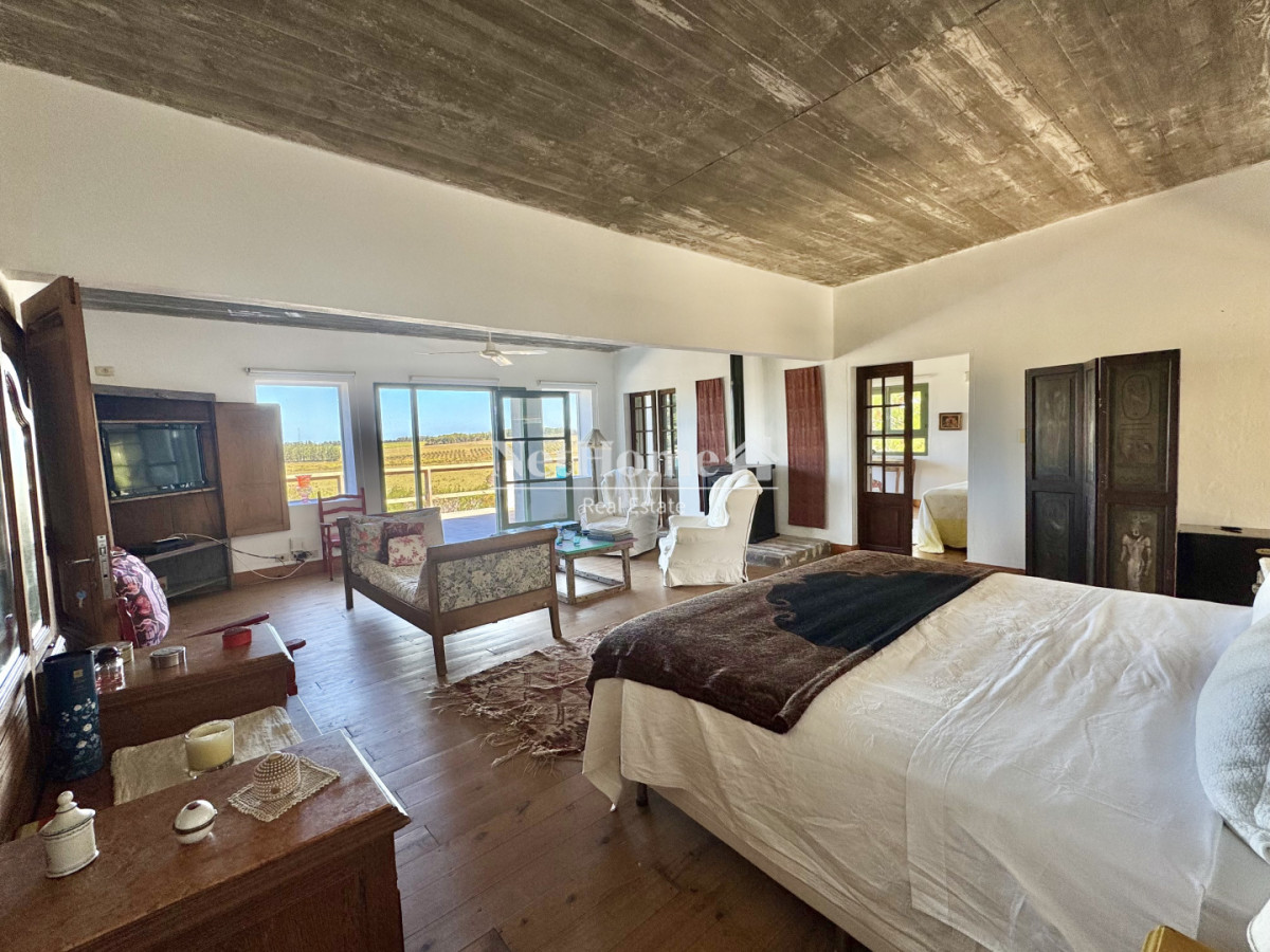 Chacra ID.1133 - Chacra en venta en las exclusivas colinas de José Ignacio