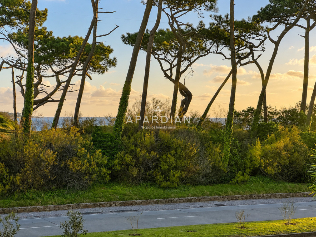 Apartamento ID.21099580 - Apartamento de 1 dormitorio en primera linea de la mansa 