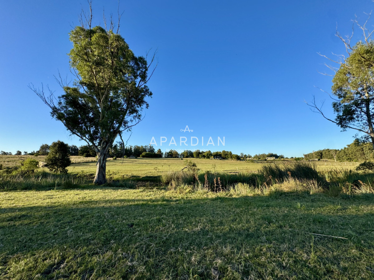 Chacra ID.21099241 - Chacra en venta a minutos de Punta del Este