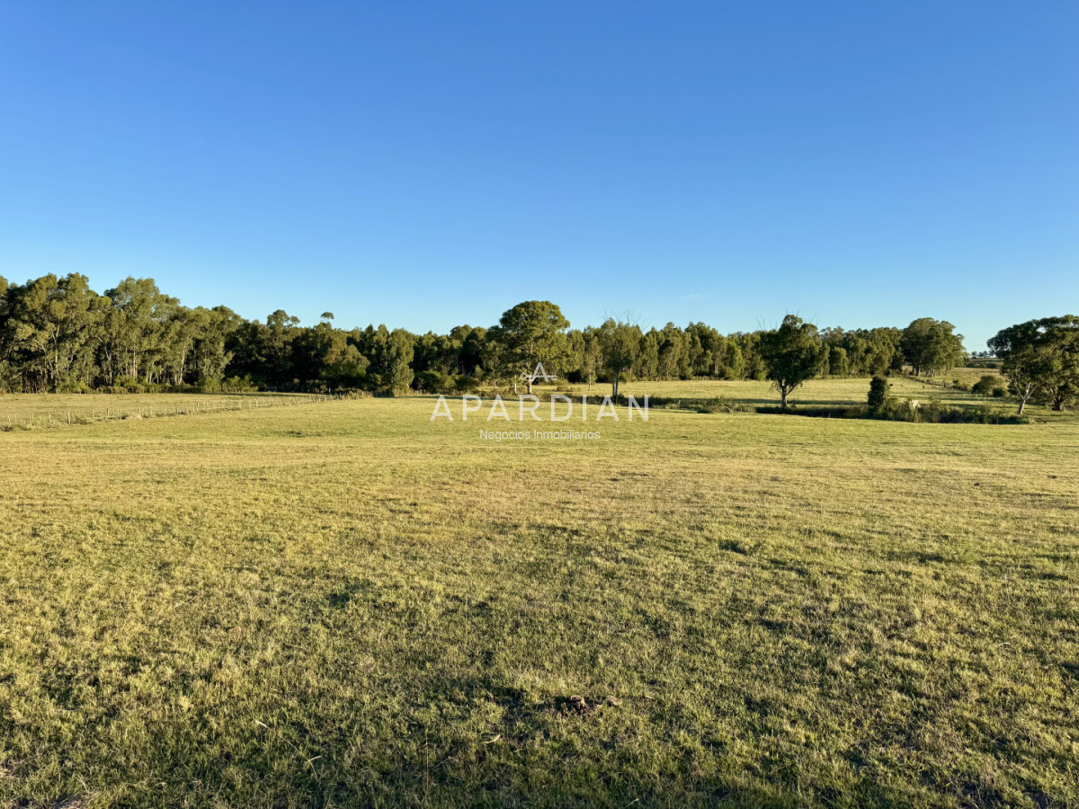 Chacra ID.21099241 - Chacra en venta a minutos de Punta del Este