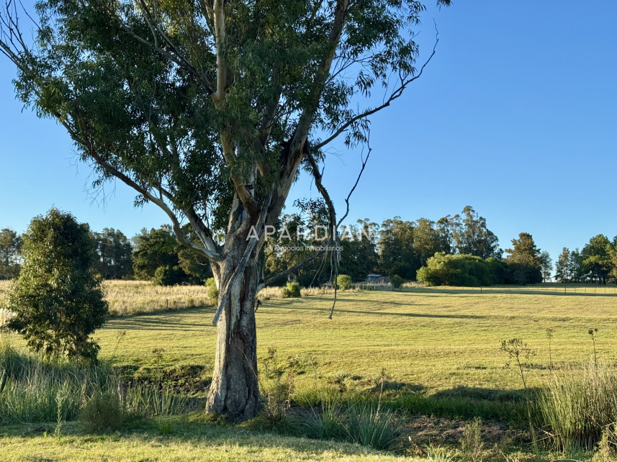 Chacra ID.21099241 - Chacra en venta a minutos de Punta del Este