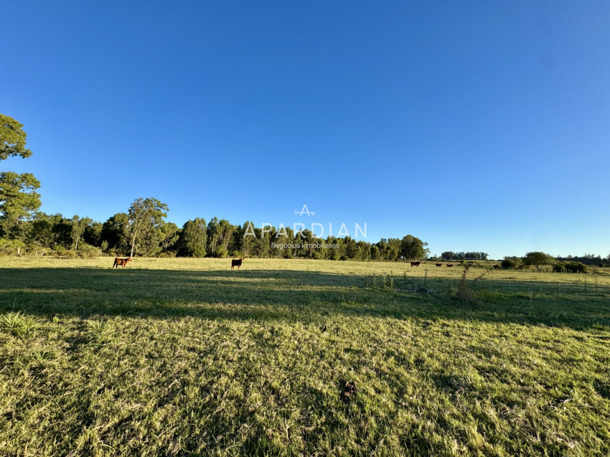 Chacra ID.21099241 - Chacra en venta a minutos de Punta del Este