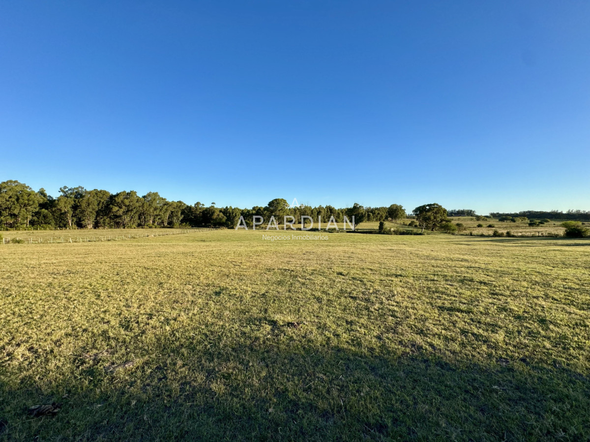 Chacra ID.21099241 - Chacra en venta a minutos de Punta del Este